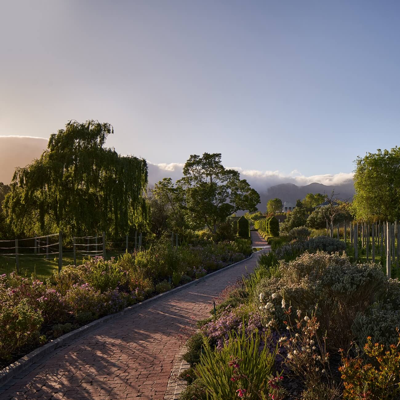 67bc557d6ab7a-Leeu Estates - Landscape  (3)@2x